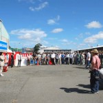 日本らんちう協会　東部本部所属支部合同品評大会