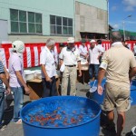 日本らんちう協会　東部本部所属支部合同品評大会