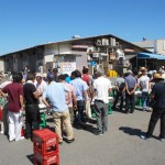 日本らんちう協会 東部本部所属支部合同品評大会 日本らんちう協会 東部本部所属支部合同品評大会