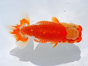 中部本部大会　取締一　山口広隆　津市