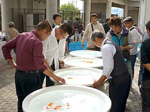Sokai