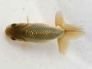 研究会　西取締　立松和三