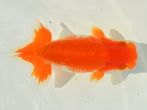 研究会　1位　野上　清