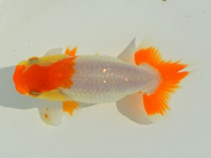 研究会　3位　君塚一博