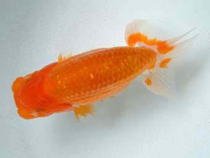 研究会　4席　山光　勲