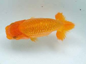 研究会　5席　山光　勲