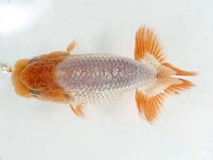 研究会　東取締　望月和幸