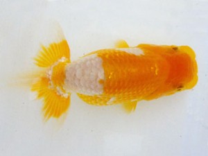 研究会　4位　宮川正勝