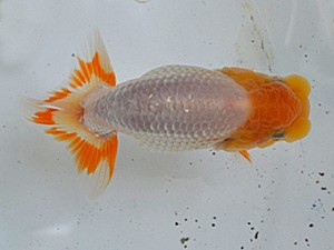 研究会　東取締　望月和幸