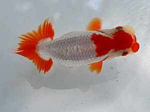 研究会　西取締　永野昌一