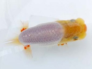 研究会　二位　野口正樹
