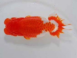 中部本部大会　伊藤高宏　名古屋