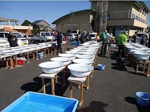 Sokai