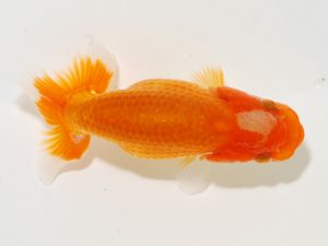 研究会 9位　君塚一博