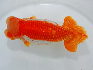 尾張優魚会&中部本部大会 西小結 庄村 清 山梨 尾張優魚会&中部本部大会 西小結 庄村 清 山梨