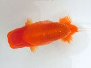 三重支部大会　西取締　寺尾弘行　尾鷲市