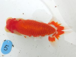 三重支部大会　西取締　葛井克昌　津市