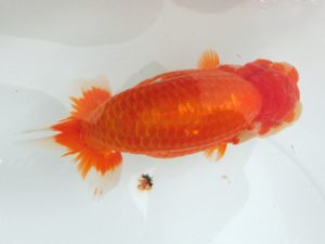 三重支部大会　東取締　船田伸一　津市