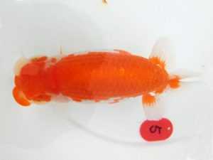 三重支部大会　西取締　立松大介　津島市