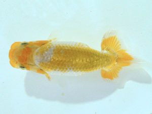 研究会　東取締　中村光春　三原