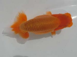 三重支部大会　東取締　中村　剛　四日市市