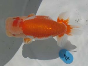 三重支部大会　東取締　寺尾弘行　尾鷲市