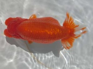 三重支部大会　西取締　小濱照明　松阪市