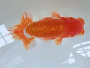 三重支部大会　東取締　小濱照明　松阪市