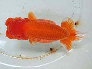 三重支部大会　西取締　山口広隆　津市