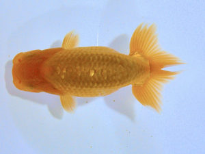 研究会　西取締　笹井義則　福山