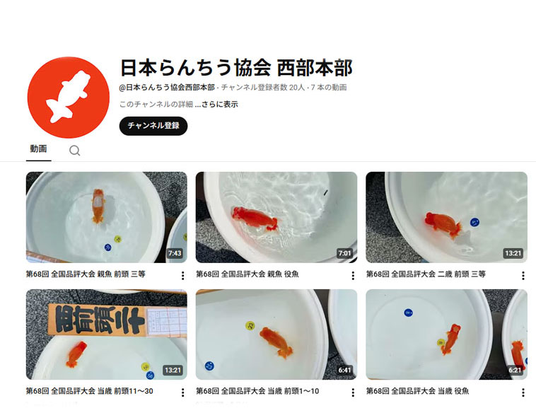 第68日本らんちう協会全国品評大会動画のアカウントです。