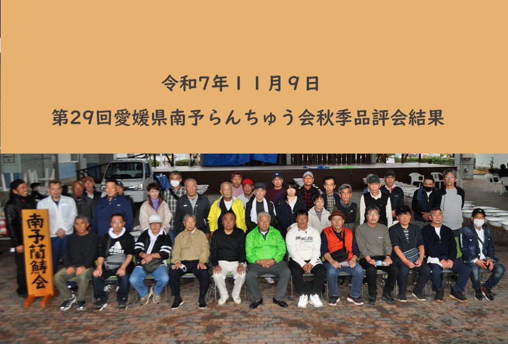 第29回愛媛県南予らんちゅう会秋季品評大会結果